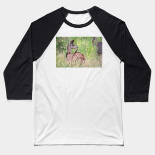 Kudu calf Baseball T-Shirt